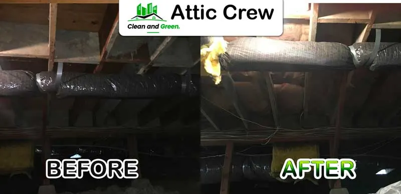 Crawl space cleaning: before and after photos from an Attic Crew job