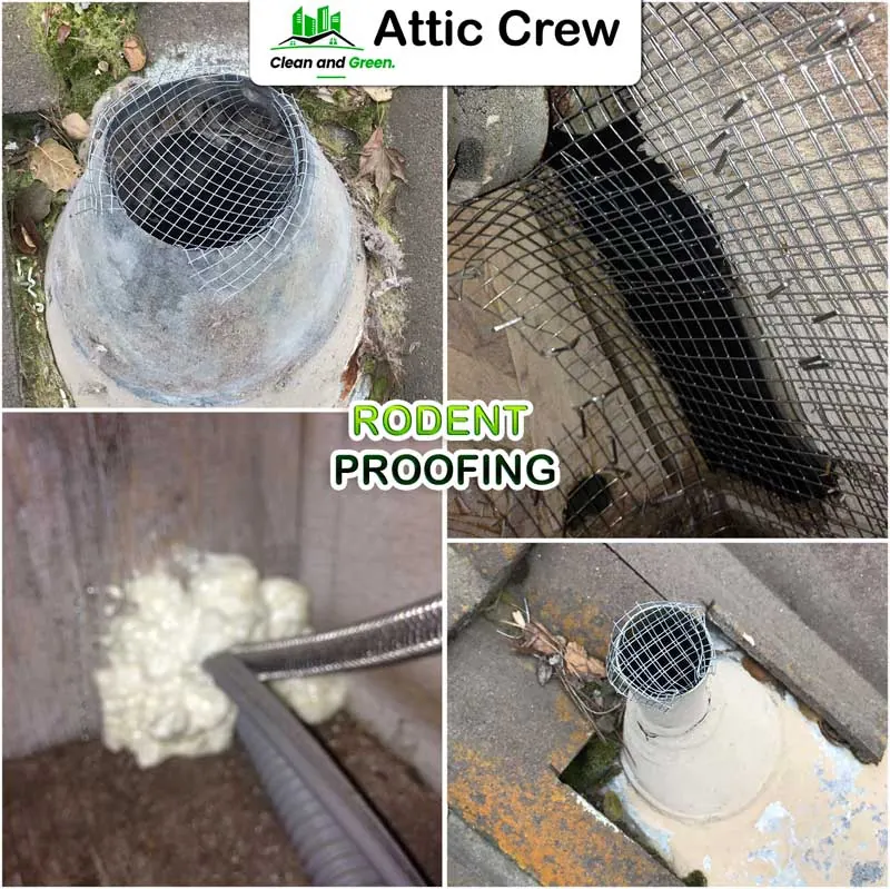 Rodent proofing: before and after