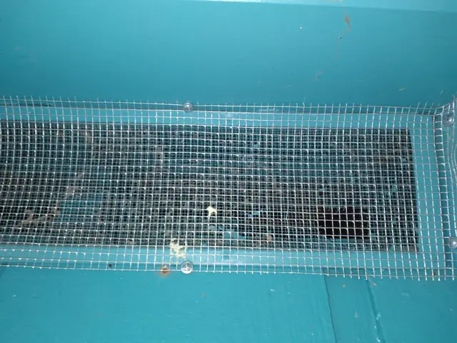Foundation vent re-screened with heavy-gauge mesh