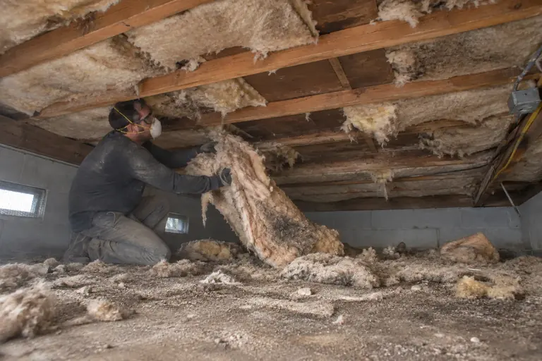 Underfloor insulation replacement, in progress: Pulling down the old insulation.
