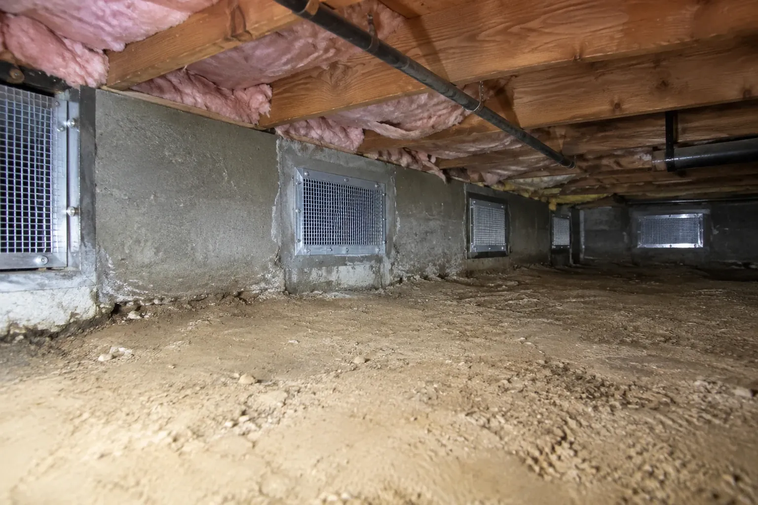 After: Every vent screened and sealed, and the crawl space cleared.