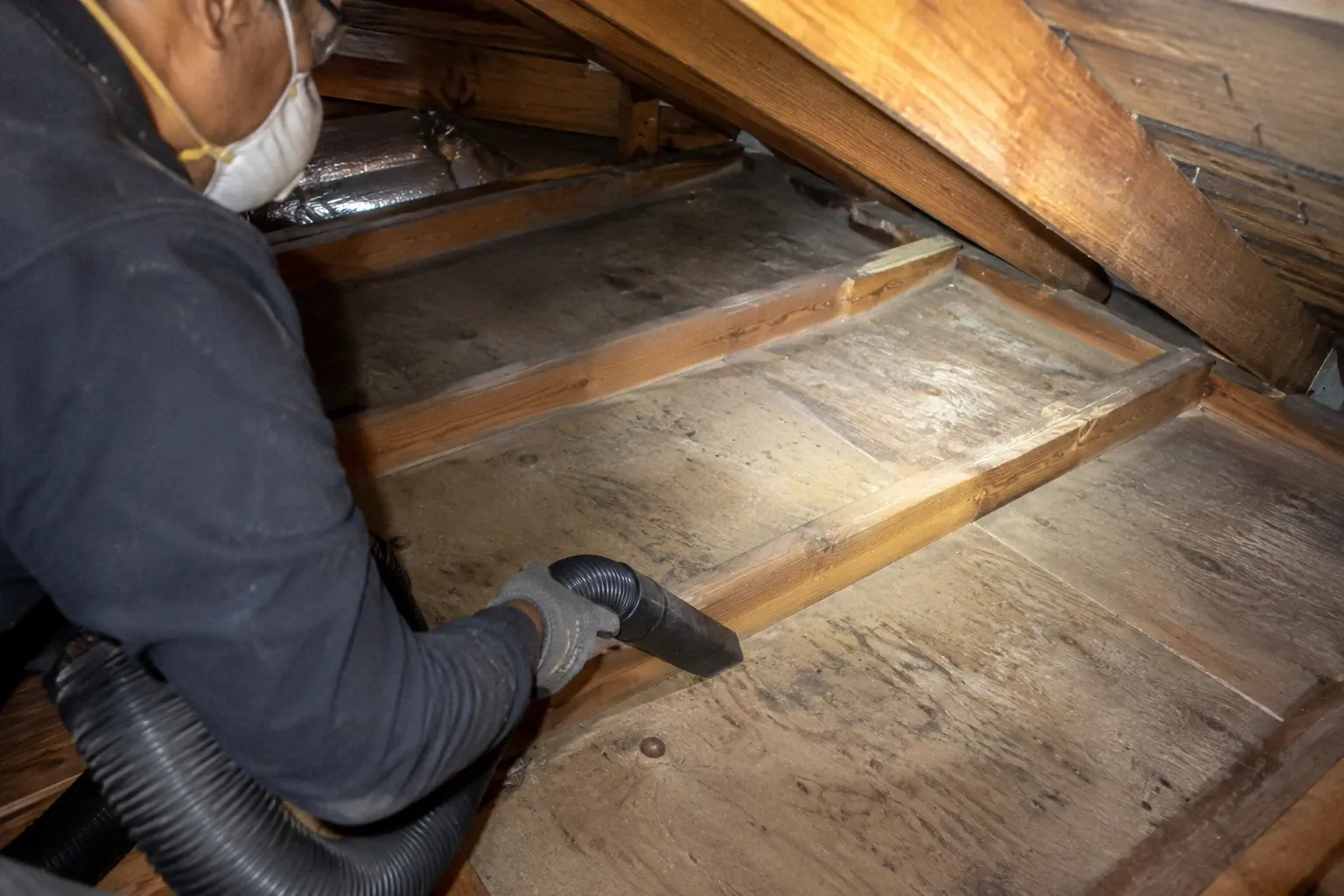 Vacuuming decayed insulation and debris from between the attic joists.